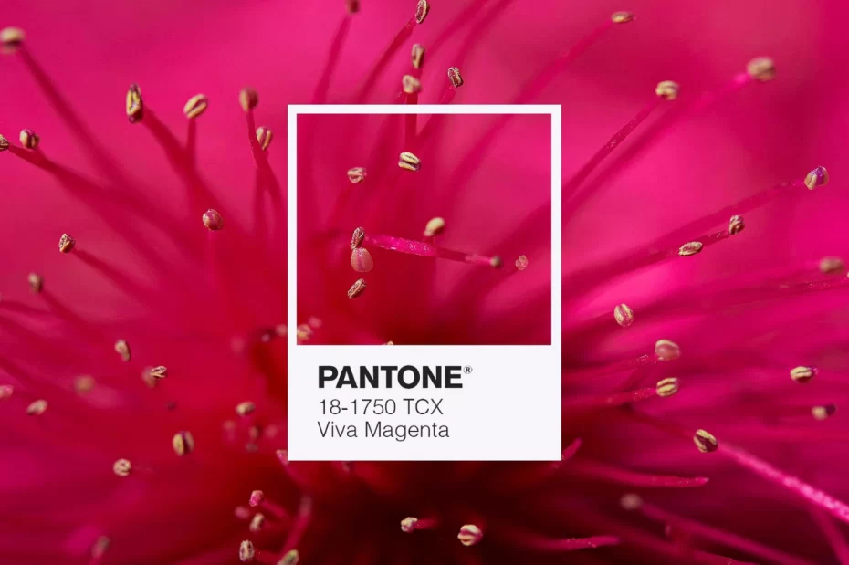 Pantone Colore 2023 Viva Magenta